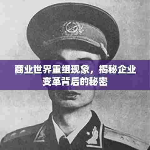 商业世界重组现象，揭秘企业变革背后的秘密