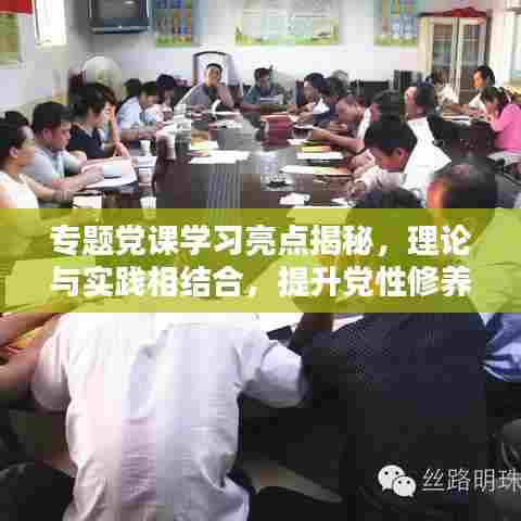 专题党课学习亮点揭秘，理论与实践相结合，提升党性修养与综合素质