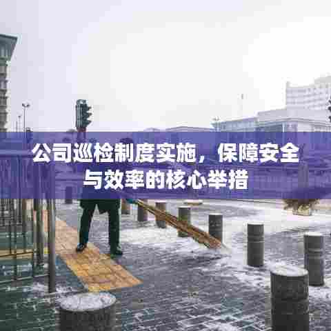 公司巡检制度实施，保障安全与效率的核心举措