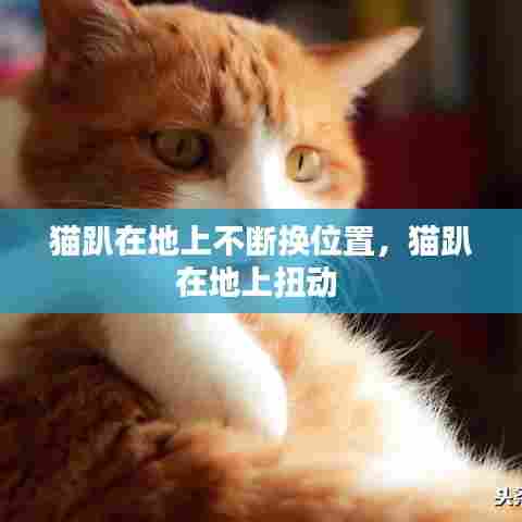 猫趴在地上不断换位置，猫趴在地上扭动 