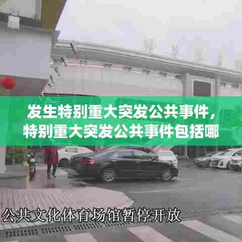 发生特别重大突发公共事件，特别重大突发公共事件包括哪些 