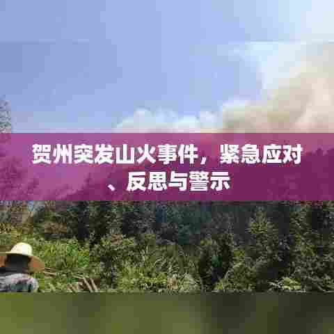 贺州突发山火事件，紧急应对、反思与警示
