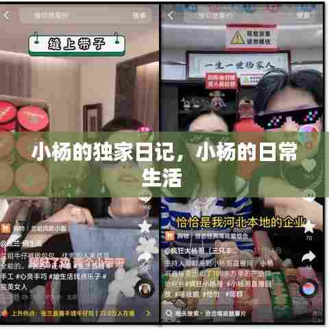 小杨的独家日记，小杨的日常生活 