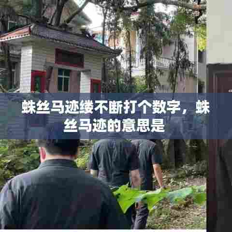 蛛丝马迹缕不断打个数字，蛛丝马迹的意思是 
