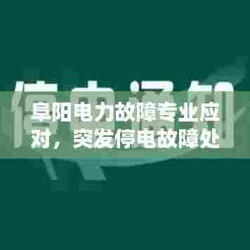阜阳电力故障专业应对，突发停电故障处理，保障城市稳定供电