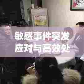 敏感事件突发应对与高效处理策略
