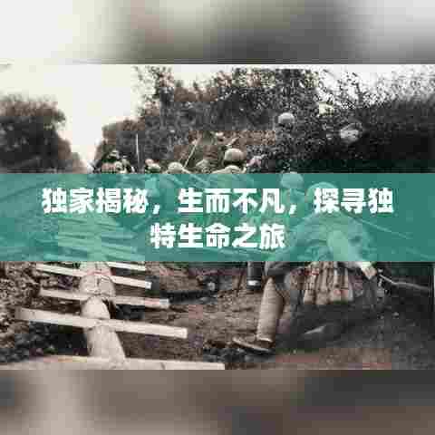 独家揭秘，生而不凡，探寻独特生命之旅