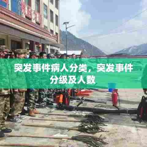 突发事件病人分类，突发事件分级及人数 