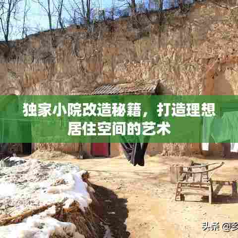 飞龙在天 第6页