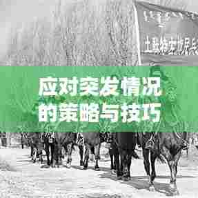 应对突发情况的策略与技巧