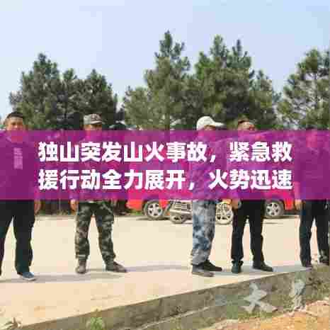 独山突发山火事故，紧急救援行动全力展开，火势迅速得到控制