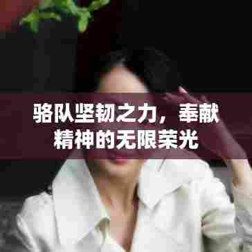 骆队坚韧之力，奉献精神的无限荣光