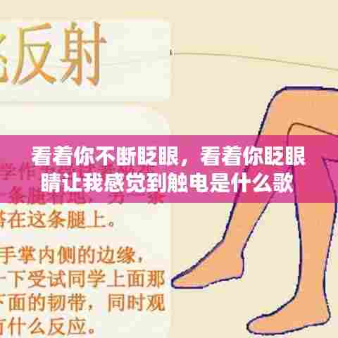 看着你不断眨眼，看着你眨眼睛让我感觉到触电是什么歌 