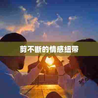 剪不断的情感纽带