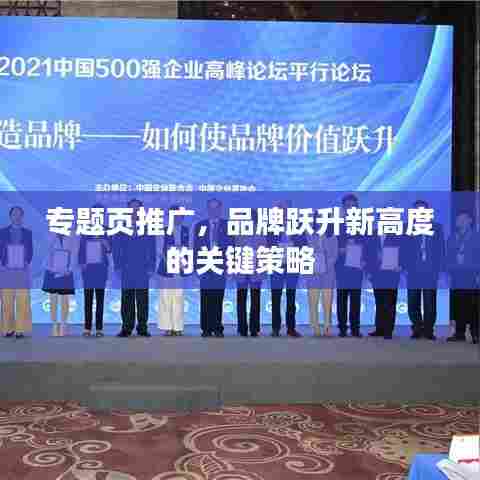 专题页推广，品牌跃升新高度的关键策略
