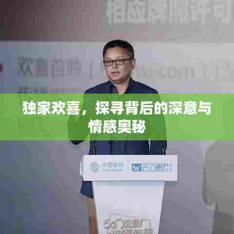 独家欢喜，探寻背后的深意与情感奥秘