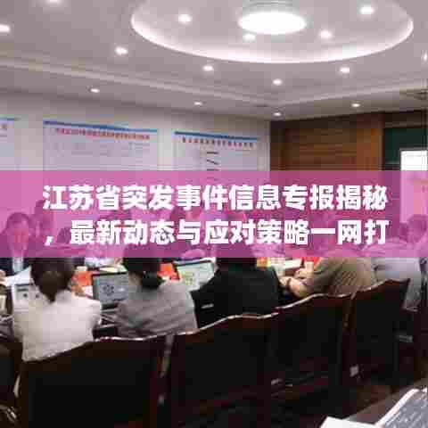 江苏省突发事件信息专报揭秘，最新动态与应对策略一网打尽