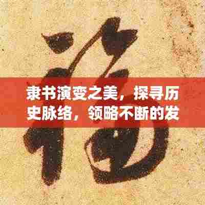 隶书演变之美，探寻历史脉络，领略不断的发展之美