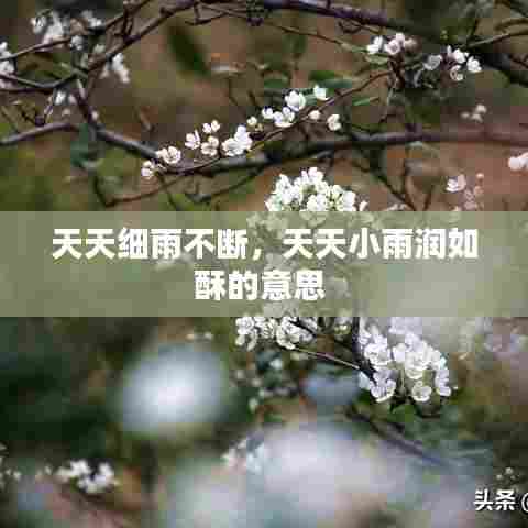 天天细雨不断，天天小雨润如酥的意思 