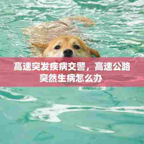 高速突发疾病交警，高速公路突然生病怎么办 