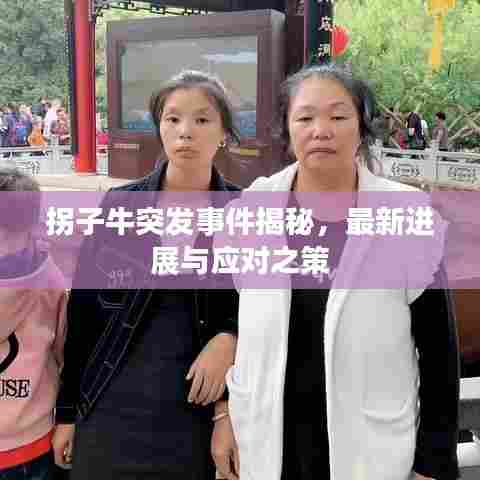 拐子牛突发事件揭秘，最新进展与应对之策