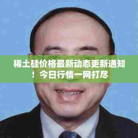 稀土硅价格最新动态更新通知！今日行情一网打尽