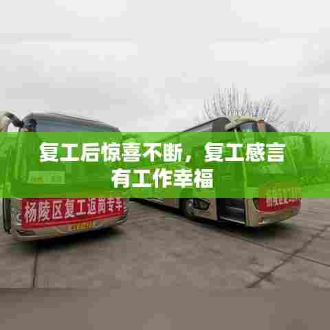 复工后惊喜不断，复工感言 有工作幸福 