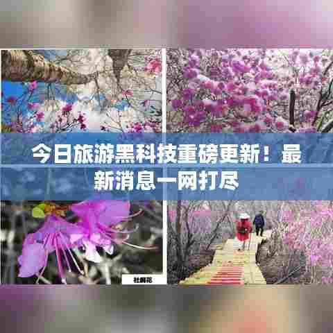 今日旅游黑科技重磅更新！最新消息一网打尽