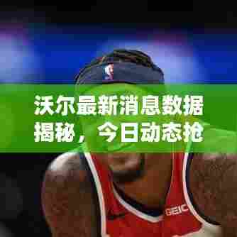 沃尔最新消息数据揭秘，今日动态抢先看！