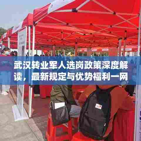 武汉转业军人选岗政策深度解读，最新规定与优势福利一网打尽！