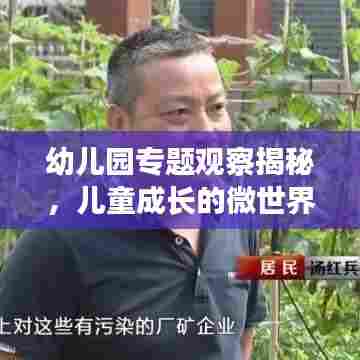 幼儿园专题观察揭秘，儿童成长的微世界探索之旅