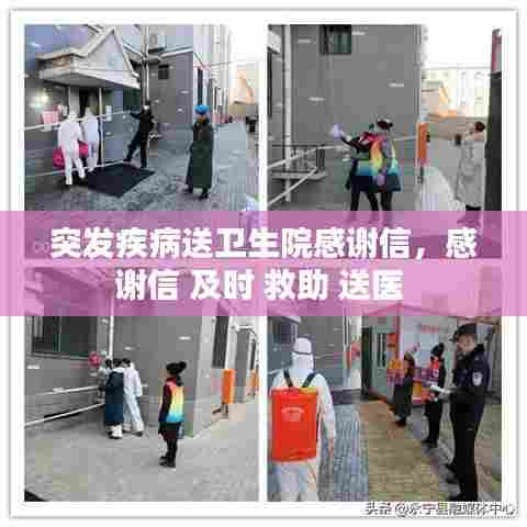 举世无双 第7页