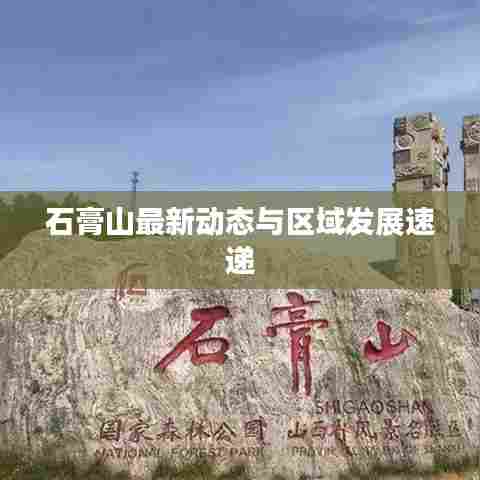 石膏山最新动态与区域发展速递