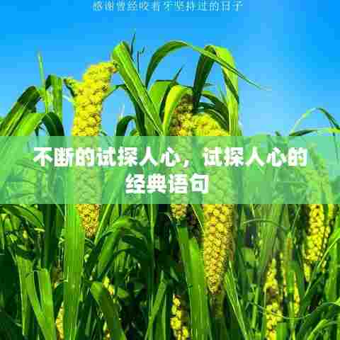 不断的试探人心，试探人心的经典语句 