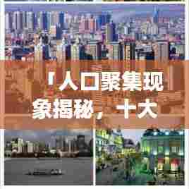 「人口聚集现象揭秘，十大省会城市发展与排名深度解析」