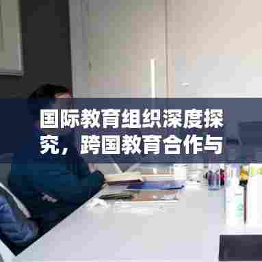 国际教育组织深度探究，跨国教育合作与创新实践