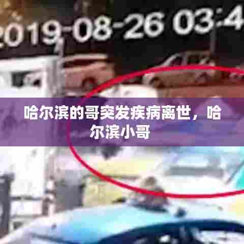 哈尔滨的哥突发疾病离世，哈尔滨小哥 