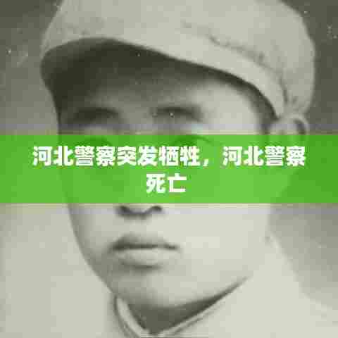 衣不完采 第6页