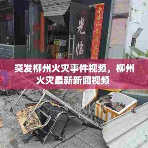 飞蛾扑火 第6页