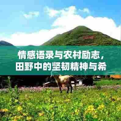情感语录与农村励志，田野中的坚韧精神与希望之光