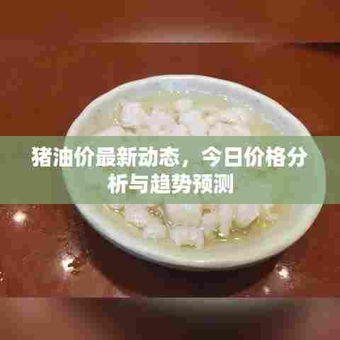 猪油价最新动态，今日价格分析与趋势预测