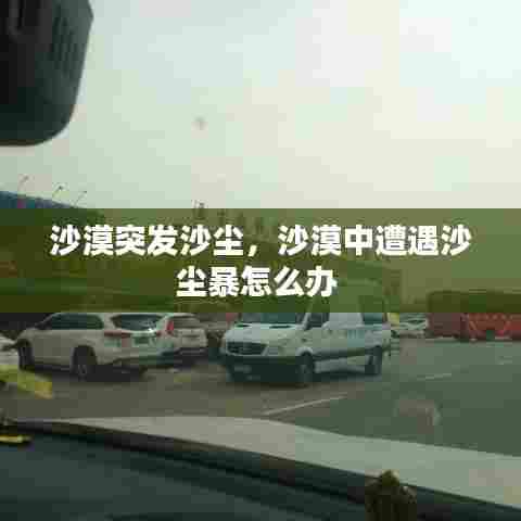 沙漠突发沙尘，沙漠中遭遇沙尘暴怎么办 