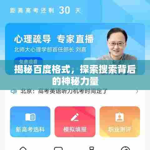 揭秘百度格式，探索搜索背后的神秘力量