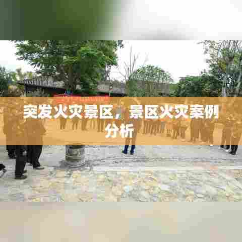 突发火灾景区，景区火灾案例分析 