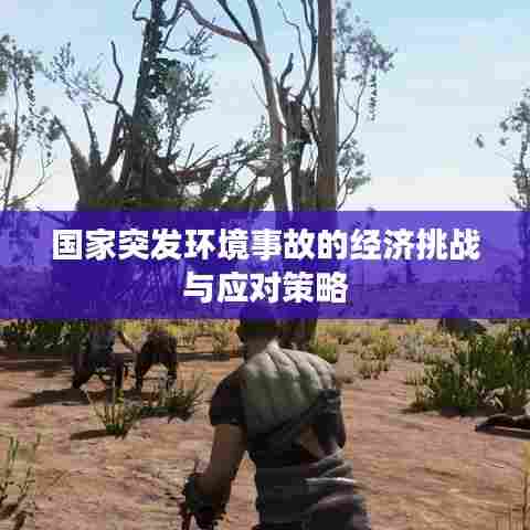 国家突发环境事故的经济挑战与应对策略