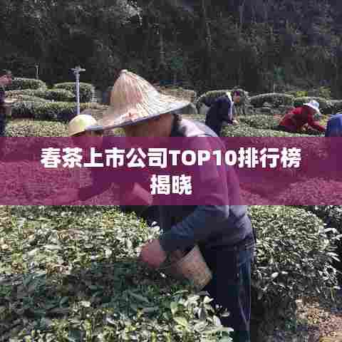 春茶上市公司TOP10排行榜揭晓