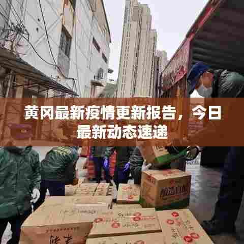 黄冈最新疫情更新报告，今日最新动态速递