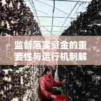 监督落实资金的重要性与运行机制解析