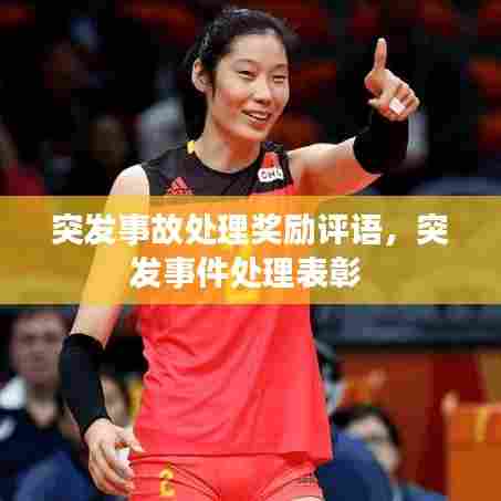突发事故处理奖励评语，突发事件处理表彰 
