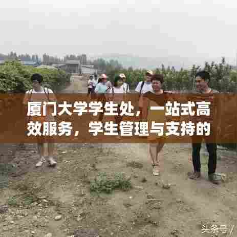 厦门大学学生处，一站式高效服务，学生管理与支持的新平台